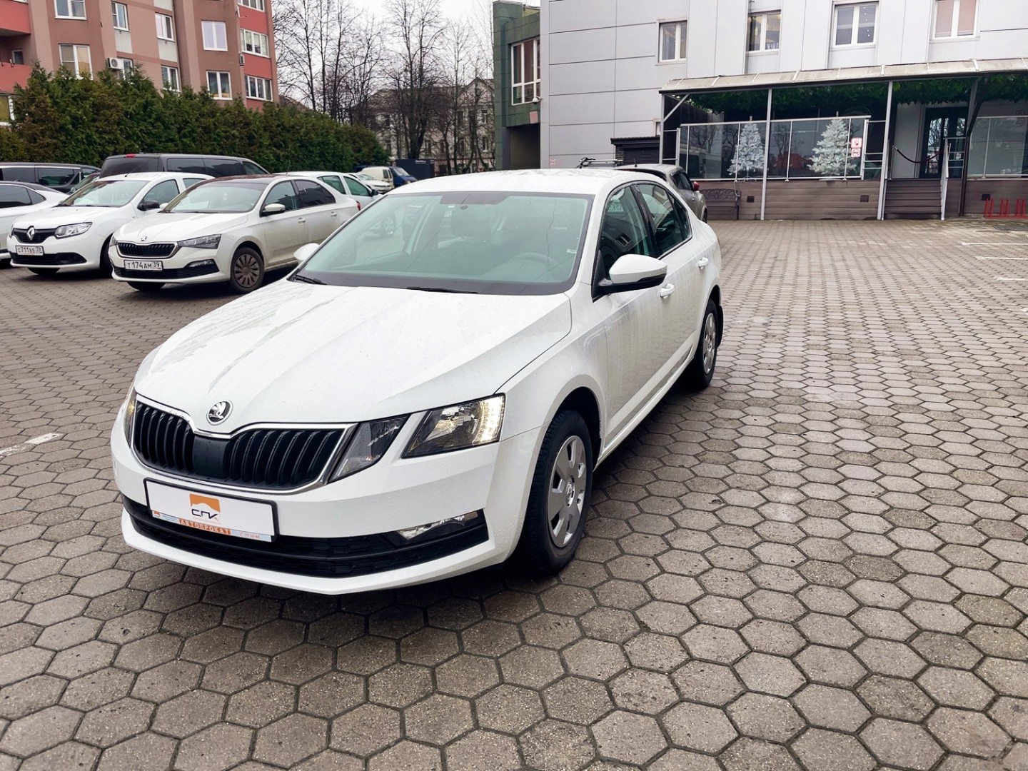 Аренда и прокат Skoda Octavia А7 в Калининграде